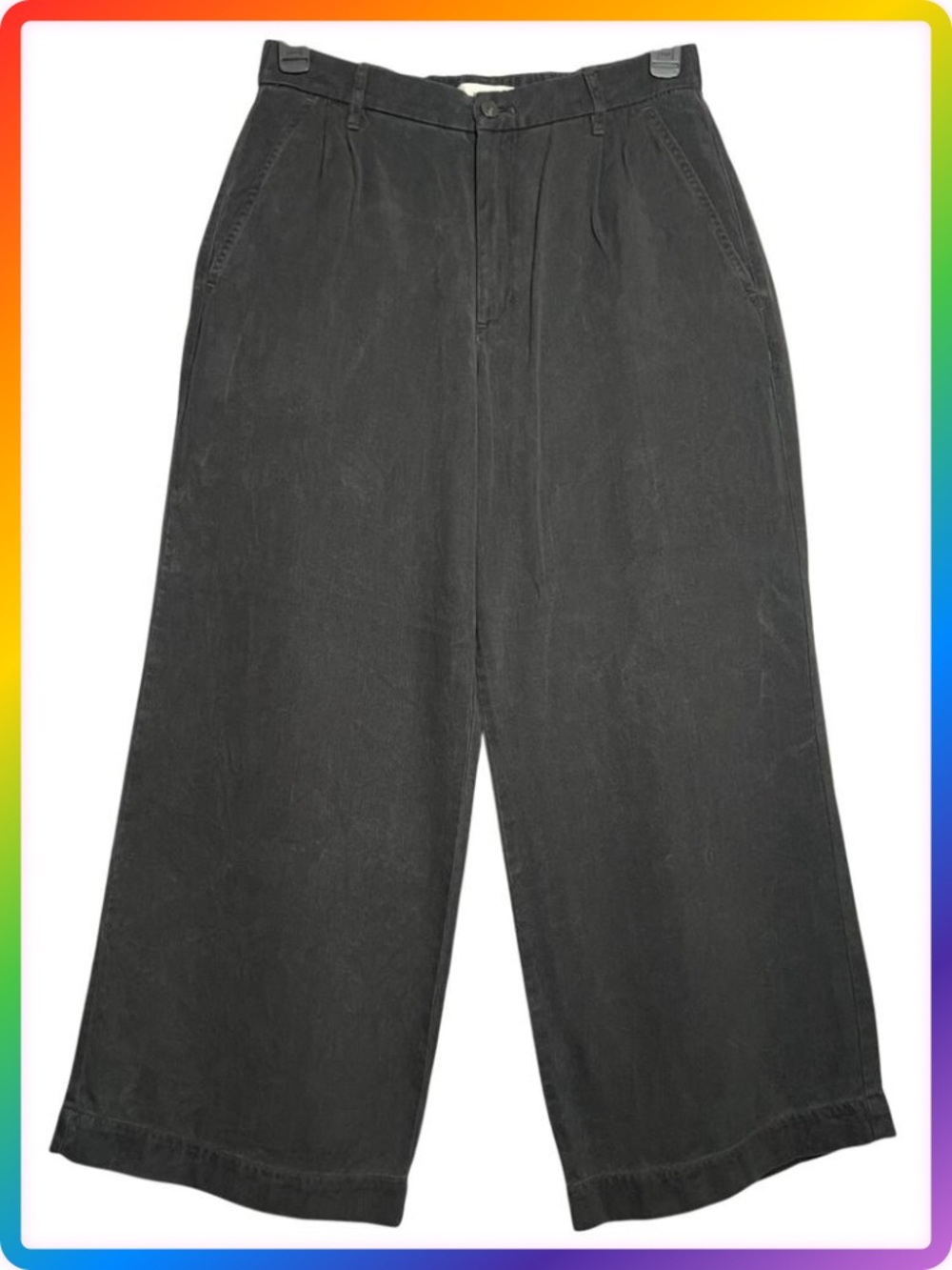 Everlane Tencel Wide Leg Chino Pants WOMENS 10 Black Pleated Cropped